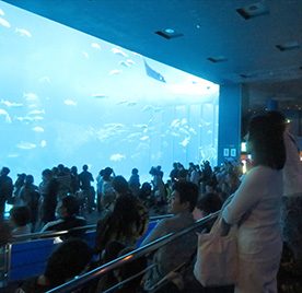 沖縄－１　瀬長島～ちゅら海水族館